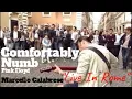 Download Lagu Street musician Marcello Calabrese live in Rome, \