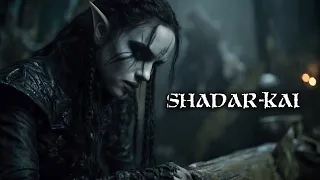 Shadar-Kai The Shadow Elves Who Serve The Raven Queen