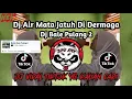 DJ AIR MATA JATUH DI DERMAGA || DJ BALE PULANG 2 VIRAL TIKTOK TERBARU 2025