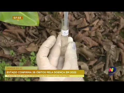 SC já registra 26 mortes por dengue só neste ano