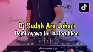dj sudah ara johari demi nyawa ini kutaruhkan full bass 2024