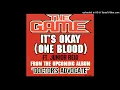 The Game- It's Okay (One Blood) (Clean) Ft. Junior Reid