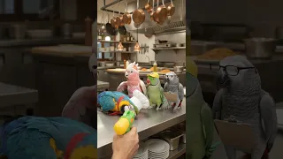                                                                دندنها
