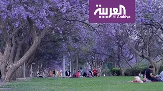 العربية معرفة أبها عروس الجنوب وجنة المصائف العربية 