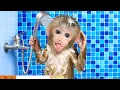 Download Lagu Bebé Mono Creativo Cuida al Travieso Bebé Mono en Lugar de Mamá - Un Día Especial | Mono Risa ESP