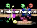 Membrane Transport Animation