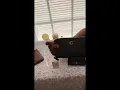 Coach Medium Zip Around Wallet vs Coach Slim Card Case