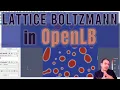 Getting started with OpenLB lattice Boltzmann simulation code On Demand 8