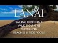 LANAI: HAWAII TRAVEL SERIES. Sailing from Lahaina, Maui, Wild Dolphins, Hulopoe Beach, \u0026 Snorkling