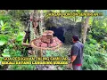 Download Lagu Merinding.!! ternyata begini jalur pesugihan nyai roro kidul dalam goa pesisir selatan jawa tengah