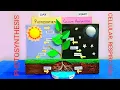 Photosynthesis model making Cellular Respiration model Photosynthesis model school project