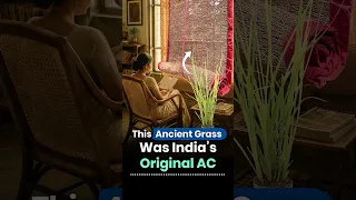 Before ACs, India Used Khus Curtains image