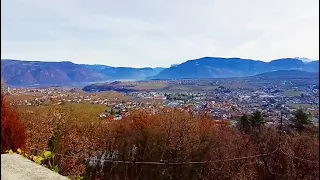                     دندنها