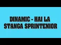 Download Lagu Dinamic - Hai La Stanga Sprintenior Sarba Originala