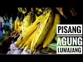 Download Lagu Pisang Agung Lumajang - NET. JATIM