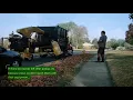 Clayton Leaf Collection Program