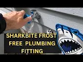 SharkBite Frost Free Push to Connect Brass Plumbing Fitting