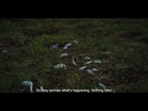 Excess Will Save Us | Clip de la película | IFFR 2022 | StyleFeelFree