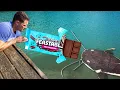 Fishing with Candy