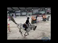 Download Lagu Approved stallion 𝗝-𝗡𝗶𝘂𝘀 𝗩.𝗩. 𝘇   “Little Indian x Ugano Sitte x Chacco Blue”