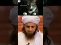 Lagu Billi paalna kaisa Hain??🤔 by Mufti Tariq Masood ❤️