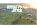 Breath of the Wild - Where to Find Hetsu and Spend Korok Seeds