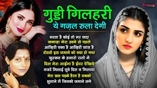 Guddi Gilhari Hit TOP 10 Songs गुड्डी गिलहरी का दर्द भरा गीत Hindi Sad Song | गुड्डी गिलहरी ग़ज़ल