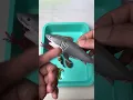 Download Lagu Miniature Sea Animal Toys Diorama White shark vs Hammerhead shark | ASMR Toy Video #asmrvideo