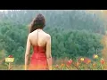 Download Lagu Dil Hai Ke Manta Nahin Dil Pe Kiska Jor Hai