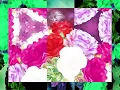 IMANU & The Caracal Project - Syrah feat Maria-Lea (YAANO x VISLA Remix) (Visualizer)