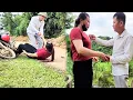 Download Lagu The girl pretended to fall to approach Mr. Huong and he was surprised to recognize her