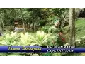 Download Lagu Dian Ratih - Taman Sritanjung [Official Video]
