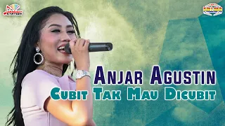 anjar agustin cubit tak mau dicubit official music video 