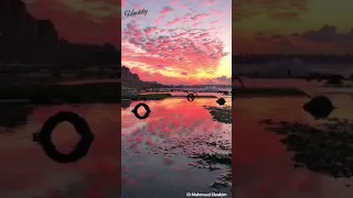 أغنية يا عالم أصالة بدون موسيقي بصوت رائع جدا  أغنية يا عالم أصالة بدون موسيقي بصوت رائع جدا