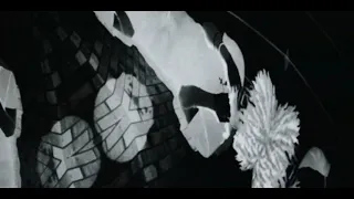 Kisonn SATIVA Official Music Video 