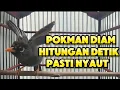 Download Lagu PANCINGAN AMPUH POKSAY MANDARIN POKMAN SUSAH BUNYI HITUNGAN DETIK PASTI NYAUT
