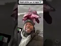 Download Lagu un Algérien pêche un requin a la main. 💪💪😂😂🇩🇿🇩🇿