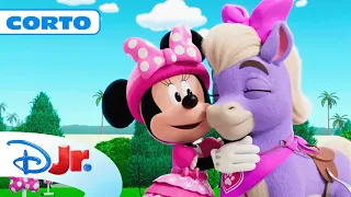 LOS CUENTOS DE MINNIE: Los ponis de Minnie y Daisy 🐴 | @DisneyJuniorES