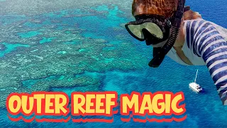 Paradise Found in the Whitsundays – Unbelievable Coral & Crystal Blue Water