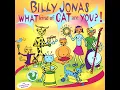 What Kind of Cat Are You?! - Billy Jonas