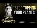 Creator of Mimosa Explains Why He Stopped Topping His Plants