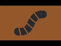 What is a Computer Worm