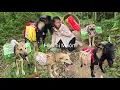Download Lagu Vietnamese girl goes to the market to buy dog ​​food, goat food and fertilizer for the fields