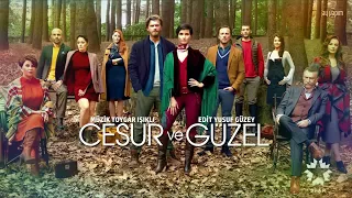 موسيقى مسلسل جسور وجميلة 