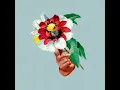 Beginner's Luck - Maribou State