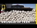 Download Lagu Vagonul de marfă trebuia să fie ascunzătoarea contrabandiștilor | Traficanți