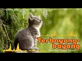 Download Lagu Dangdut Legendaris: \