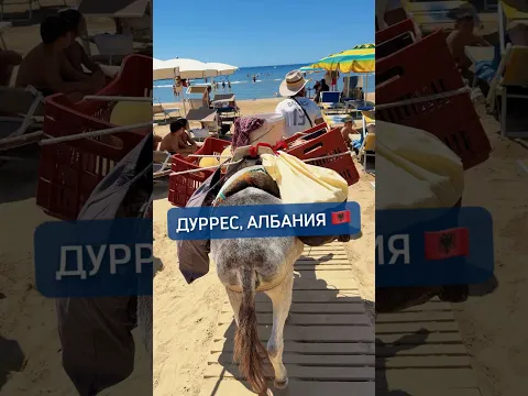 А хочешь мы с тобой голубоглазая, вдвоём объедем вокруг света? 🌏 #александрзакшевский #албания