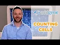 Counting Cells
