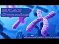 MCAT AAMC FL Sample Test Review on Genetics with a 100th percentile scorer